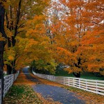 fall wallpaper, autumn wallpaper, fall photos, fall pictures, fall pics, fall images,