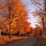 fall wallpaper, autumn wallpaper, fall photos, fall pictures, fall pics, fall images,