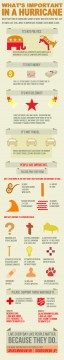 hurricane sandy infograph, hurricane sandy infographic, hurricane infograph